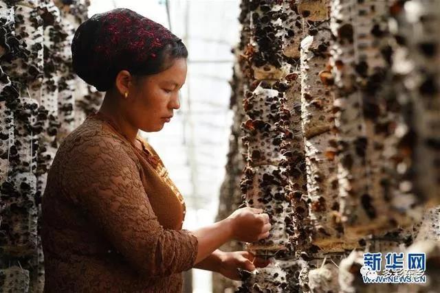 微信图片_20190904101008.jpg 微信图片_20190904101008.jpg