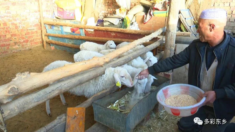 微信图片_20191213173114_副本.jpg