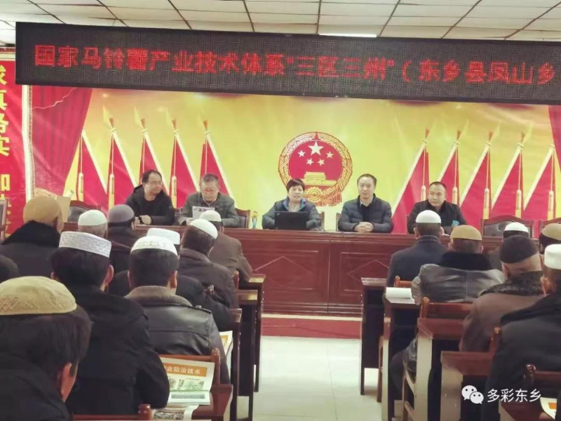 东乡发展壮大马铃薯产业1_副本.jpg