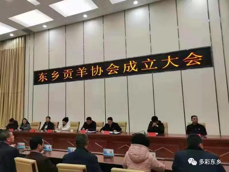 东乡县成立东乡贡羊协会.jpg
