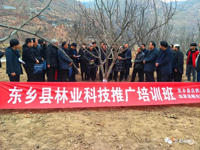 微信图片_20200120222537_副本.jpg