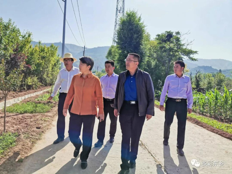 马秀兰深入河滩镇检查指导脱贫4_副本.jpg