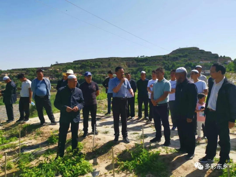 东乡县组织现场观摩学习金银花种1_副本.jpg