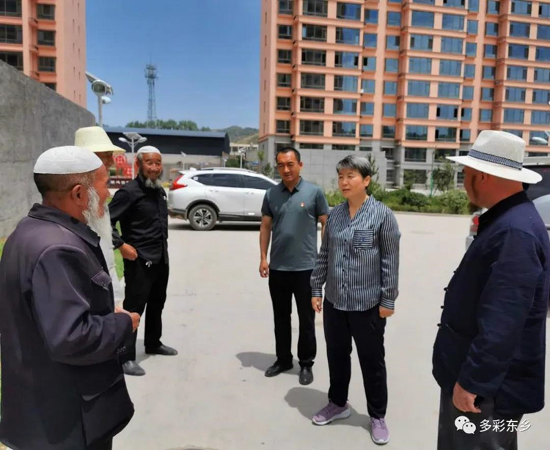 马秀兰到那勒寺镇检查1_副本.jpg