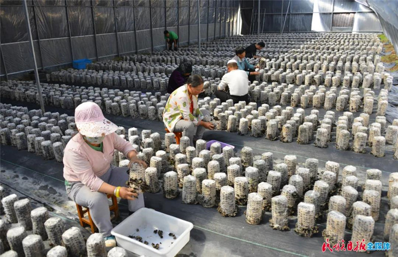 七十载沧桑巨变8_副本.jpg