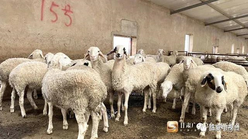 悬崖边8_副本.jpg