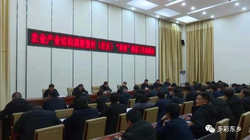 马秀兰主持召开北部片区农业产业结构调整暨村1.jpg