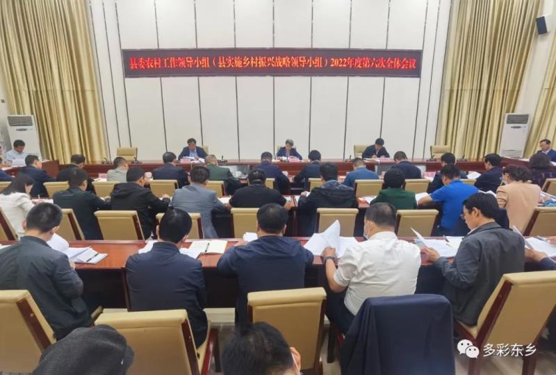 东乡县委农村工作领导小组（县实施乡村振兴战略领导小组）2022年度第六次全体会议召开1.jpg