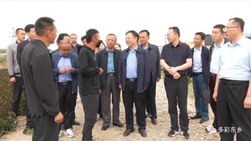 马东升一行来东乡县检查工作2.jpg