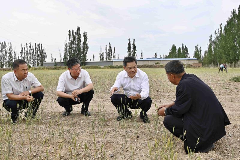 任振鹤在兰州市调研抗旱减灾工作时强调3.jpg