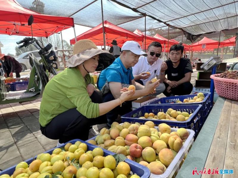 首届东乡族文化艺术节暨2022年东乡县唐汪杏子采摘系列活动启动4.jpg